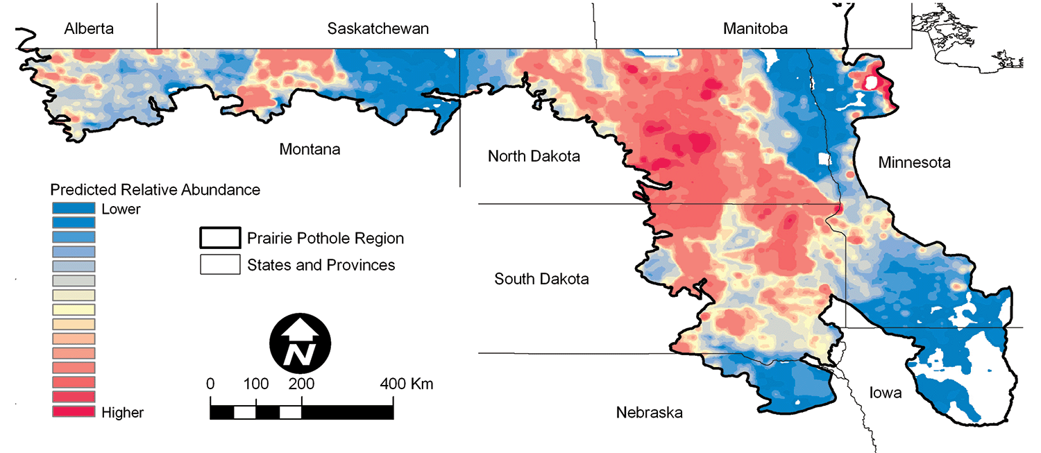Figure 3. Blue-winged Teal predicted abundance.