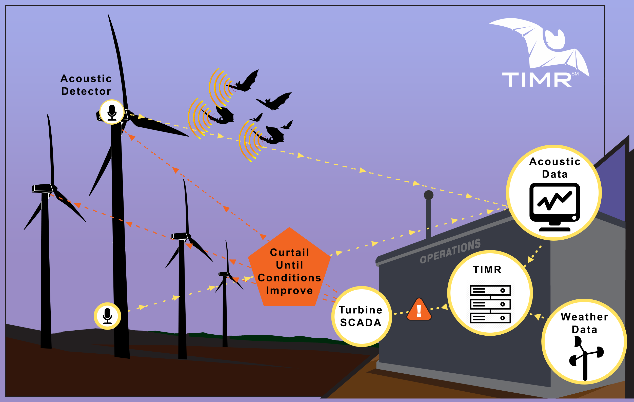 TIMR Schematic