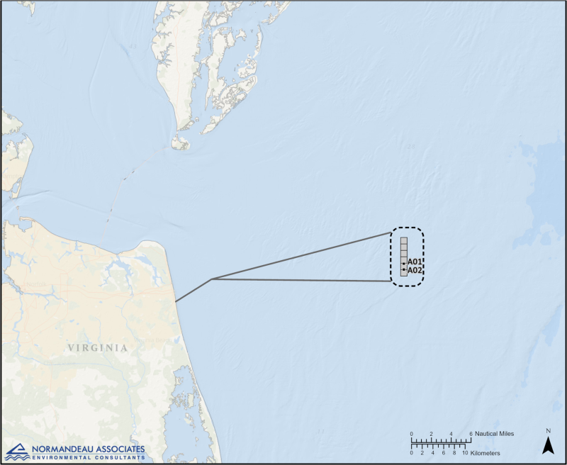 Coastal Virginia Offshore Wind Pilot Project Lease Area and Turbines / Normandeau Associates, Inc. Offshore wind project in Virginia United States / Normandeau Associates, Inc.