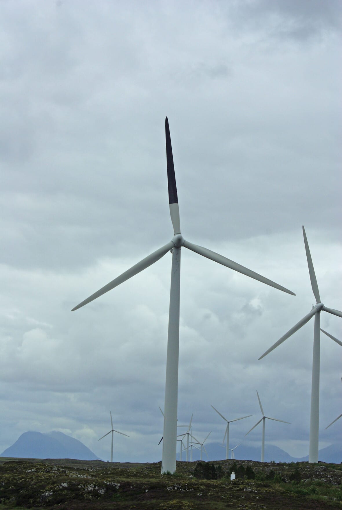 Wind turbine with painted blade.