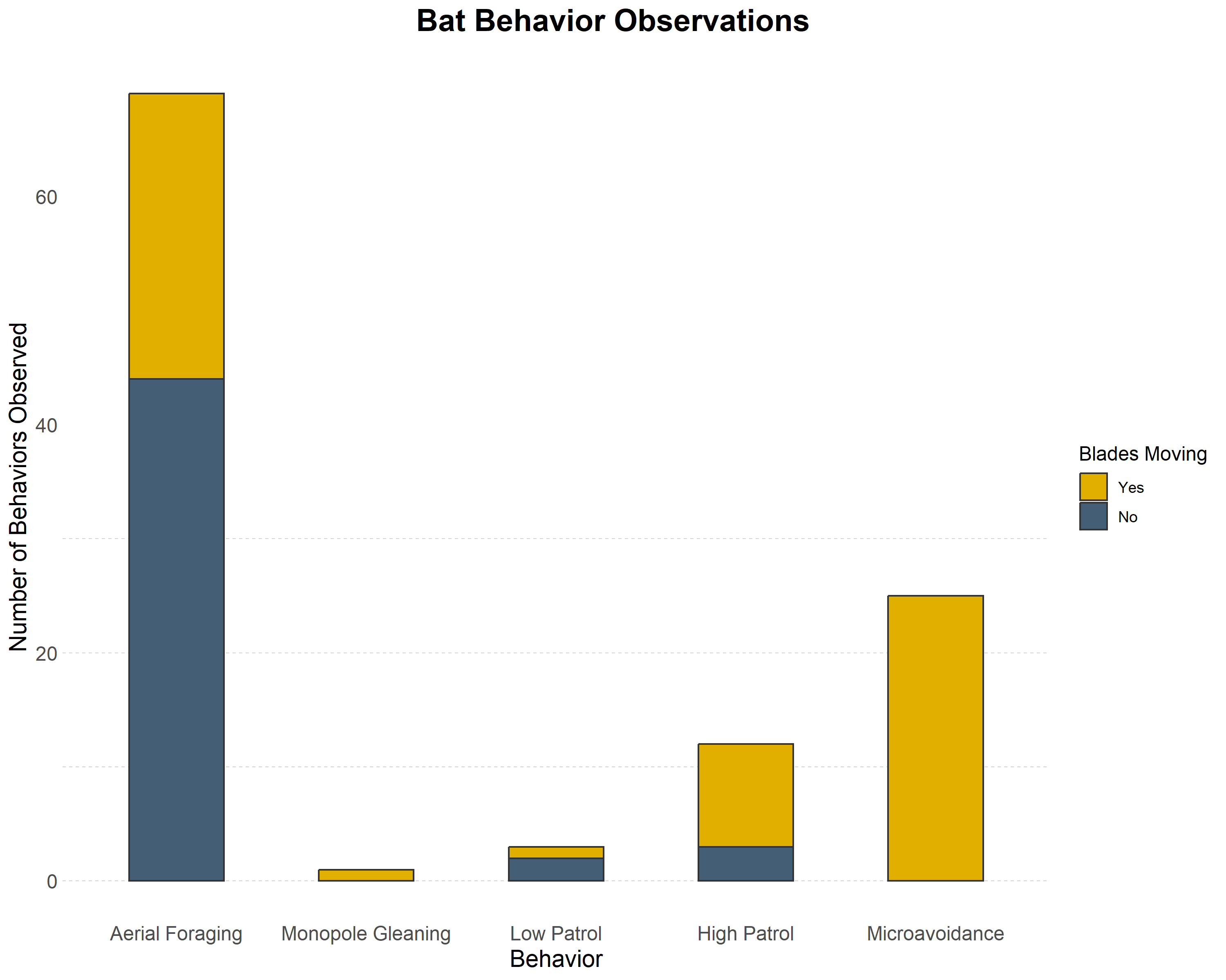 Bat flight behaviors observed during the first year of study at the Coastal Virginia Offshore Wind Pilot Project. / Normandeau Associates, Inc. Bat flight behaviors observed during the first year of study. / Normandeau Associates, Inc.