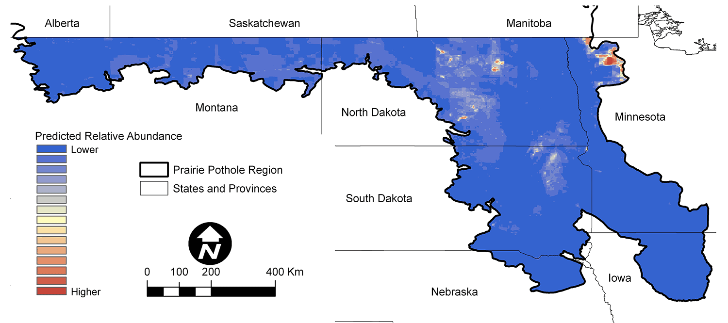 Figure 6. Northern Harrier predicted abundance.