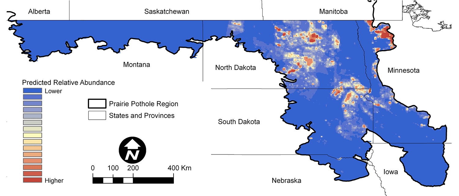 Figure 8. Marsh Wren predicted abundance.