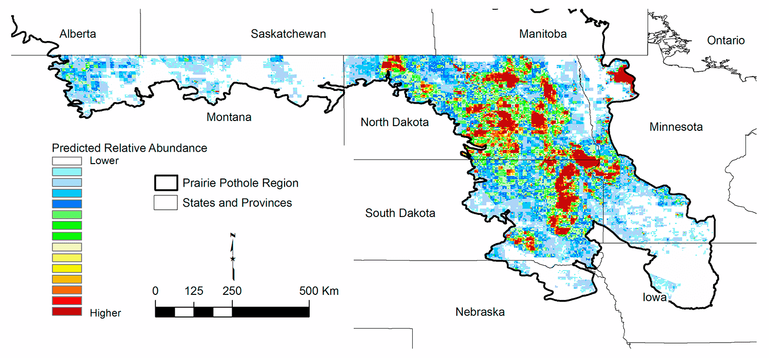Figure 10. Yellow-headed Blackbird predicted abundance.