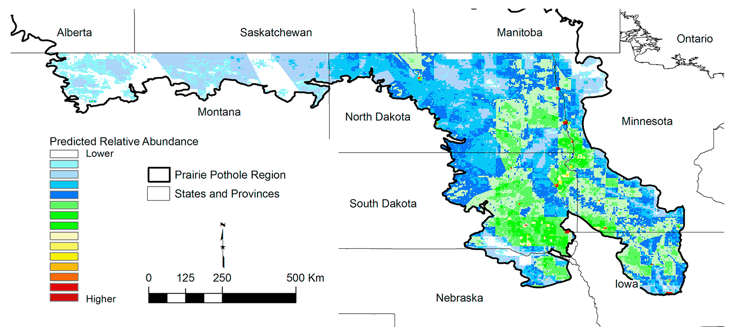 Figure 11. Common Grackle predicted abundance.