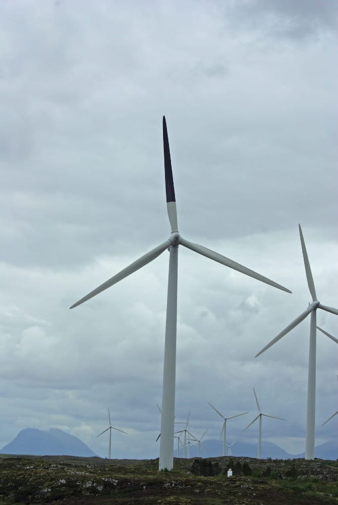 Do painted wind turbine blades reduce bird fatalities?