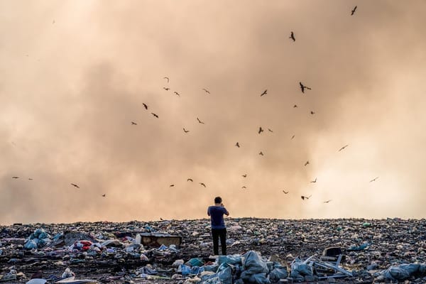 Birds soaring above an active landfill; Photo By Bakhrom Tursunov / Pixabay